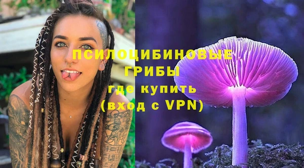 тгк Новодвинск