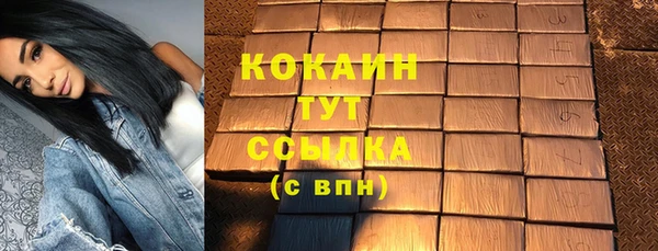тгк Новодвинск