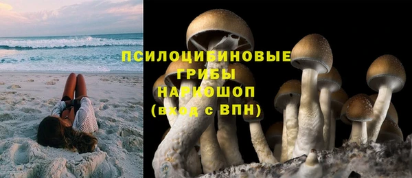 метадон Новозыбков