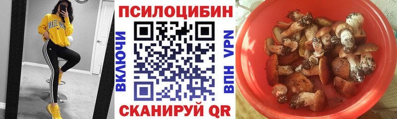 Галлюциногенные грибы мухоморы  Электроугли 