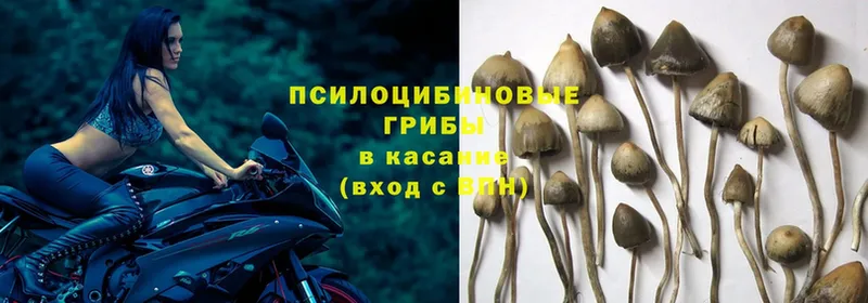 ОМГ ОМГ   как найти закладки  Электроугли  Псилоцибиновые грибы Magic Shrooms 